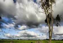 开云体育入口-布宜诺斯艾利斯独立球迷现场助威，球队斗志昂扬