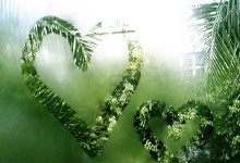 开云体育官网-曼联核心球员体能恢复，备战河床