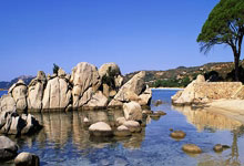 开云体育中国-鹿岛鹿角阵容深度显著，替补席也能决定比赛走向