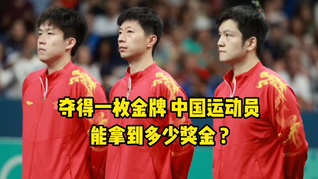 激烈竞争！运动员展现实力，争夺金牌的简单介绍