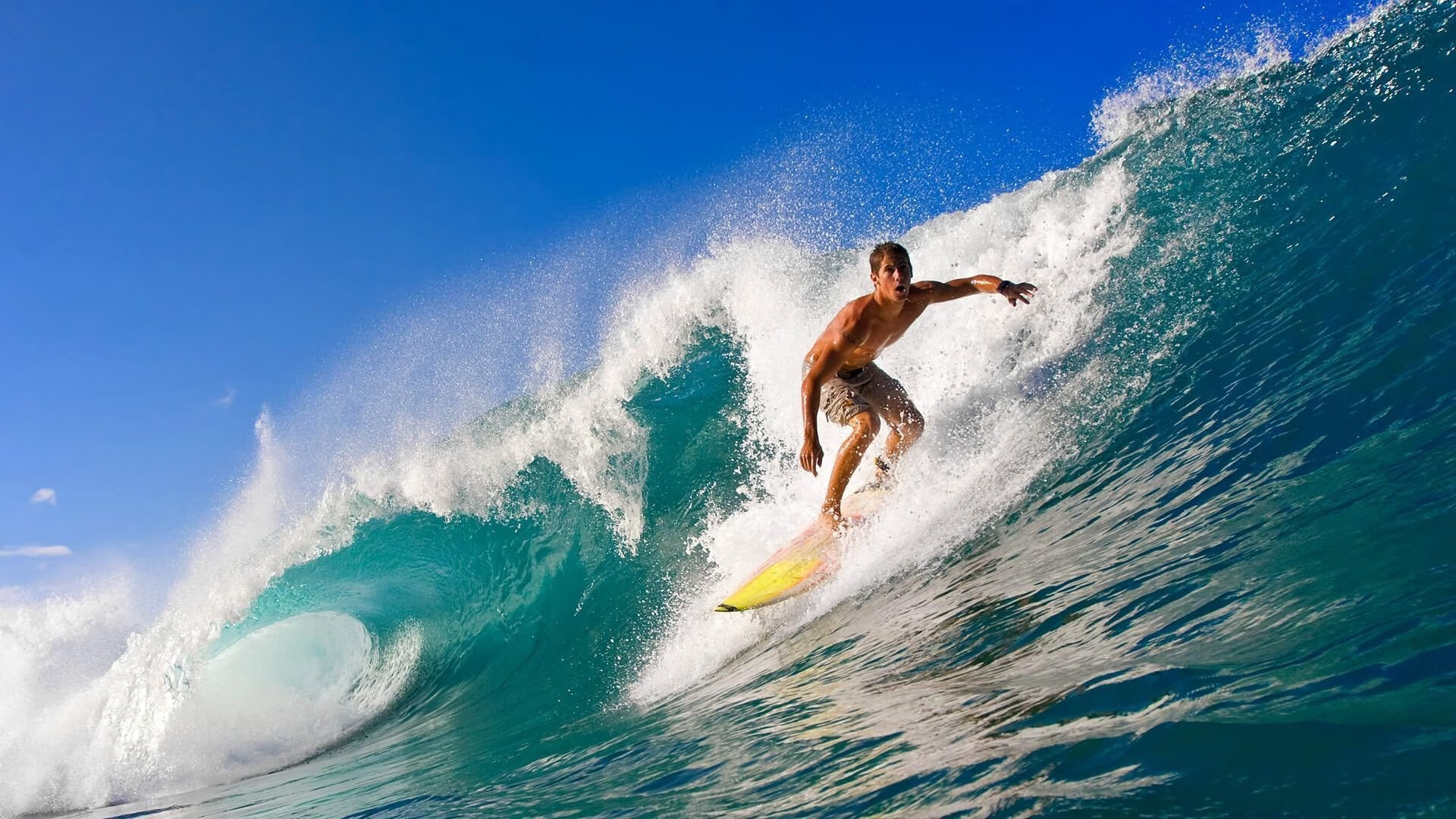 可选择的文章标题